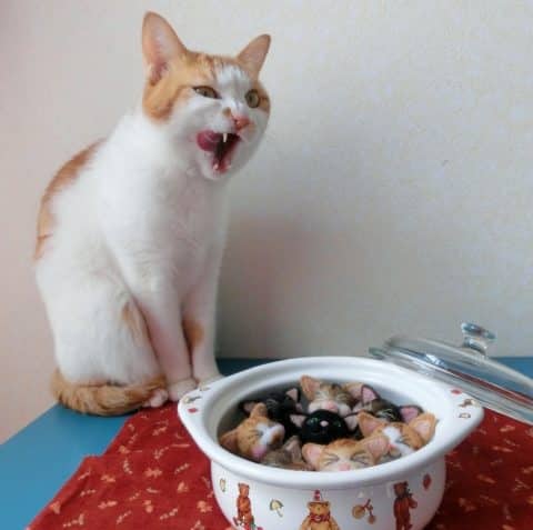 猫とシェアできる食べ物